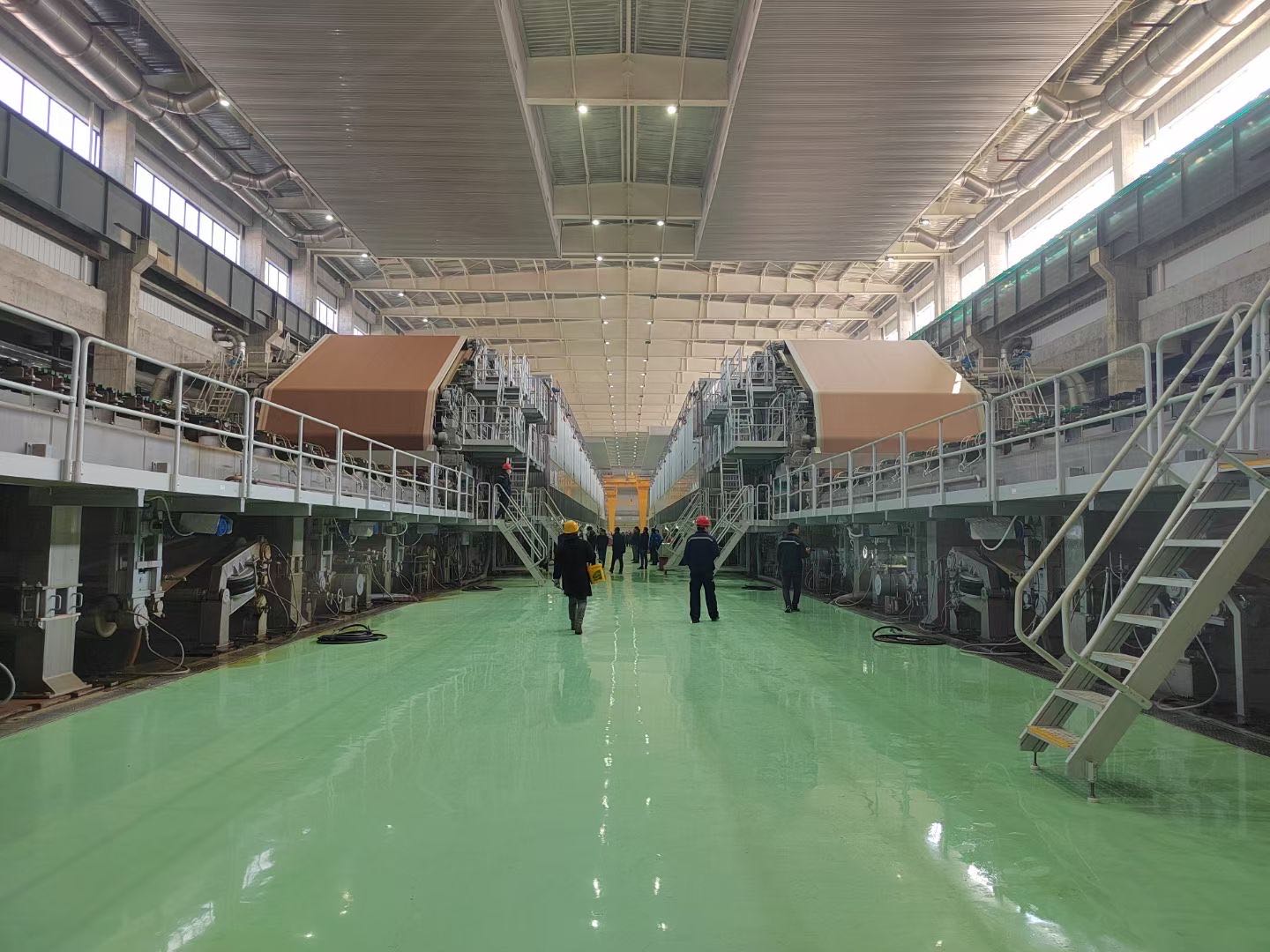 1741146039348416.jpg 金凤凰图.jpg